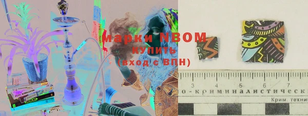 сатива Богородицк