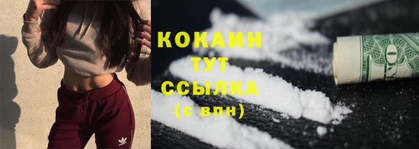 сатива Богородицк