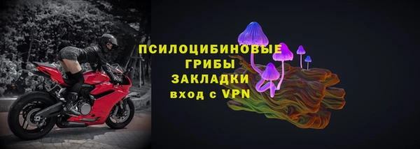 гашик Струнино