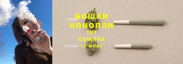 гашик Струнино