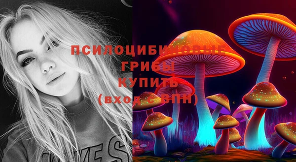 каннабис Беломорск