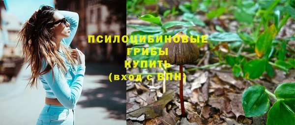 гашиш Богданович